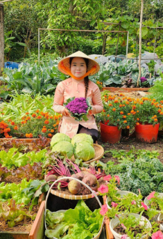 9X bỏ việc kế toán về trồng rau, tạo nên khu vườn 500m2 xanh mướt, đủ loại rau trái giữa lòng TP.HCM