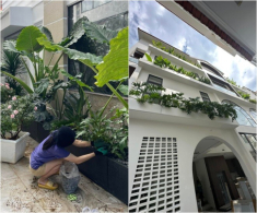 Cây lá to hơn người được Vân Trang trồng khắp ngóc ngách biệt thự 1.000m2 nhưng từng khiến cô phải “khóc một dòng sông”