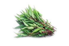 Cây rẻ tiền nấu lên nhớt nhớt nhưng bổ ngang nhân sâm, tiếc là ít người biết ăn nó