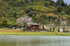 Chàng trai 9X “bỏ phố về quê”, vay tiền mua mảnh đất hoang giữa núi hồ xanh ngát, xây nhà vườn đẹp như tranh