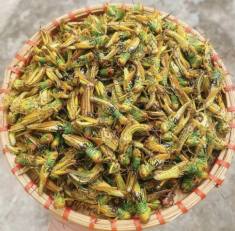 Con này xưa vứt cho gà ăn giờ là đặc sản, có giá vài trăm nghìn 1kg, đem rang được món nhậu giòn ngon thơm nức