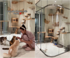 Điểm giống nhau giữa nhà của Trấn Thành - Anh Đức, liên quan đến sở thích của 2 cô vợ xinh đẹp