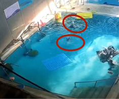 Đoạn video ghi lại giây phút thót tim ở hồ bơi, bé 5 tuổi bị đuối nước được cứu sống “kỳ diệu”