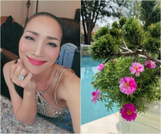 Hồng Ngọc “Mắt nai cha cha cha” khoe hàng loạt cây trong biệt thự triệu đô, nhưng nhìn ảnh cuối ai cũng thót tim