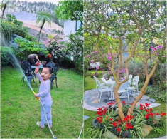 Khu vườn mùa hè ở biệt thự trên núi của vợ chồng diễn viên Mạnh Trường: Hoa giăng lối, cây trĩu quả