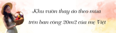Khu vườn trên ban công 20m² của mẹ Việt ở Thượng Hải: Xuân hoa nở rực rỡ, hè rau xanh mơn mởn