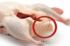 Luộc vịt, phải cắt ngay chỗ này thịt mới hết hôi, xát thêm một loại quả lên món ăn sẽ thơm nức