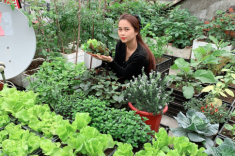 Mẹ 9X Quảng Ninh xây khu vườn trên sân thượng, chỉ 15m2 nhưng rau quả gì cũng có