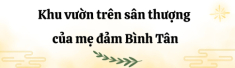 Mẹ đảm Bình Tân biến sân thượng thành vườn rau xanh mướt, cờ đỏ bay phấp phới mừng đại lễ 30/4