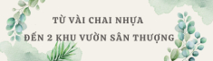 Mẹ đảm Hà Nội từng bị trêu chỉ trồng rau được “dăm bữa nửa tháng”, giờ có hẳn 2 khu vườn xanh mướt trên sân thượng