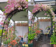 Mẹ đảm phủ hoa giấy từ trong nhà ra ban công, hoa nở rộ quanh năm, đẹp như xứ sở thần tiên