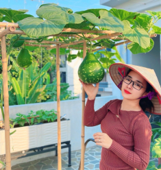 Mẹ đảm Phú Thọ trồng rau trên sân thượng vì con bị ngộ độc, giờ rau sạch ăn quanh năm, hái mỏi tay không hết