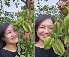 “Mẹ” Phương Oanh - Hương Vị Tình Thân: Đời thực có khu vườn xanh mướt, khoe từng cọng rau giản dị