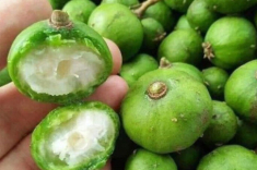 Mua sấu thấy vỏ có dấu hiện này mua ngay, đích thị là quả dày thịt hạt nhỏ đem ngâm nước cực ngon