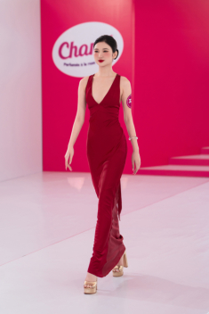 Mỹ nhân xinh như hoa hậu gây chú ý ở Vietnam‘s Next Top Model