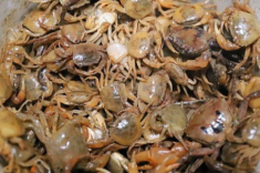 Nấu canh cua, người thông minh sẽ cho thêm thìa gia vị này, thịt cua đóng thành tảng đẹp mắt, biết lý do tôi liền học theo