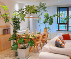 Nhà có 5 loại hoa này, con cái luôn có quý nhân giúp đỡ, càng trồng gia đình càng vượng phát