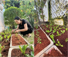 NSND Trịnh Kim Chi trồng rau trong vườn biệt thự chục tỷ nhưng gặp “thủ phạm” phá hoại