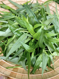 Rau dại mọc bờ mọc bụi nay thành đặc sản, có tiền chưa chắc đã mua được, đem xào tỏi được món cực ngon