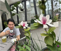 Trọng Tấn trồng loài hoa biểu tượng “giàu sang” trên sân thượng biệt thự ở Hà Nội, mỗi năm ra hoa một lần