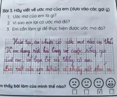 Viết văn nói về ước mơ, bé tiểu học chỉ viết 2 câu đã khiến cô giáo khen “rất thú vị”, dân tình nể phục