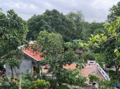 Vợ chồng Hà Nội cải tạo nhà cũ 40 năm thành nơi thờ tự, dạy con nhớ về cội nguồn