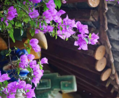 3 điều phụ nữ khôn ngoan không cúi đầu, kẻ dại thấy là lùi bước