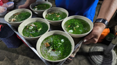 48 giờ ăn ‘như người địa phương’ ở Tuy Hòa