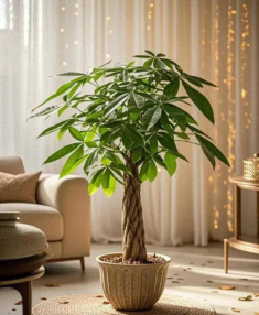 6 loại cây “nghe tên đã thấy giàu”, trồng trong nhà giúp gia chủ cải vận, tiền vào như nước
