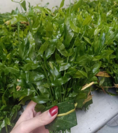 8 đặc sản Hà Nam không mua về làm quà thì phí cả chuyến đi, có món xưa chỉ vua mới được ăn
