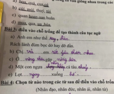 Bài tập tiếng Việt về loạt thành ngữ, tục ngữ của học sinh tiểu học gây bão, đáp án sai nhưng lại rất thuyết phục
