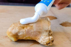 Bóp kem đánh răng lên củ gừng, điều kỳ diệu sẽ xảy ra, giải quyết ngay nhiều rắc rối trong nhà
