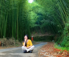 Cách Hà Nội 300km có khu rừng kỳ bí, hút khách du lịch thập phương vì vẻ đẹp tựa tranh vẽ, nơi nào check-in cũng đẹp!