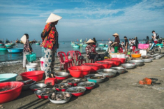 Chợ hải sản nổi tiếng nhất Phan Thiết: Mua hàng bằng thau chứ không tính cân, khách Tây khách ta đều mê