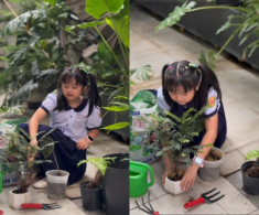 Con gái Vân Trang trồng cây trong biệt thự nghìn m2, khoe khu vườn xanh mướt khiến khán giả ngưỡng mộ