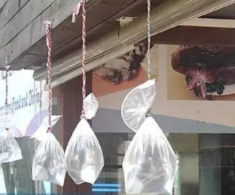 Cứ đến hè là nhiều gia đình lại treo túi nước ở trước cửa nhà, lý do không phải ai cũng biết?