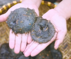 Đặc sản chỉ có ở Đà Nẵng nhìn “sợ khiếp vía”, xưa không ai biết đến nay thành món đặc sản lạ ở thành phố, càng ăn càng mê