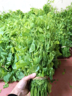 Đặc sản có tên ‘bốc mùi’ ở Bắc Kạn, khách sành ăn mua vài cân cho bõ thèm