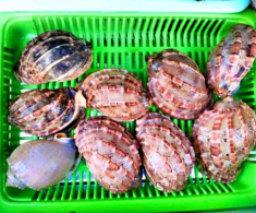 Đặc sản có tên rất lạ, xưa không ai biết đến nay dân thành phố “săn lùng”, hương vị đặc biệt