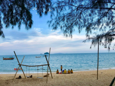 Đặc sản “gà mọc râu” trên đảo hoang sơ ở Quảng Ninh, da vàng giòn, thịt thơm nức