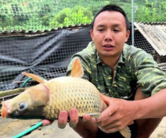 Đặc sản nhìn “rợn tóc gáy” lại là món ăn ngon của người Tây Bắc, chỉ dành để đãi khách quý