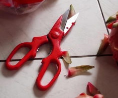 Đặt kéo ở 3 nơi này gia đình dễ gặp chuyện chẳng lành, đây không phải mê tín mà có cơ sở cả