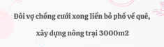 Đôi vợ chồng bỏ phố về quê xây nông trại 3.000m2 trồng rau nuôi yến, chỉ 30 triệu cải tạo đất và kết quả đẹp như tranh