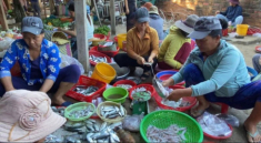 Giữa lòng Phú Yên có khu chợ bán đủ đặc sản miền Trung, được mệnh danh là chợ rẻ nhất Việt Nam