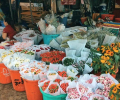 Giữa lòng Sài Gòn có khu chợ đặc biệt: Vừa là “thiên đường ẩm thực” của giới trẻ vừa bán một sản phẩm đặc biệt khác