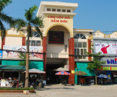 Giữa lòng Thanh Hóa có khu chợ chuyên bán hải sản tươi sống, khách đến mua ê hề không lo “chặt chém”