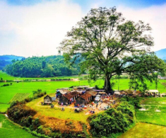 Giữa lòng Tuyên Quang có ngôi chợ được mệnh danh “chợ quê đẹp nhất Việt Nam”, nét đẹp xưa cũ hiếm có