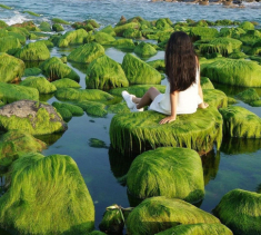 Gợi ý 7 điểm tham quan miễn phí ở Đà Nẵng dành cho tín đồ sống ảo