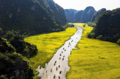 Khám phá những cánh đồng lúa chín đẹp như tranh cho kỳ nghỉ Quốc khánh 2/9