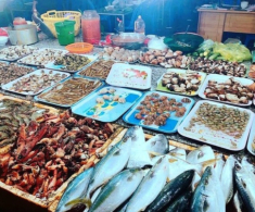 Khu chợ chuyên bán hải sản ngon rẻ ở Thanh Hóa chỉ dân địa phương biết, du khách nào cũng mê vì đồ tươi giá hời
